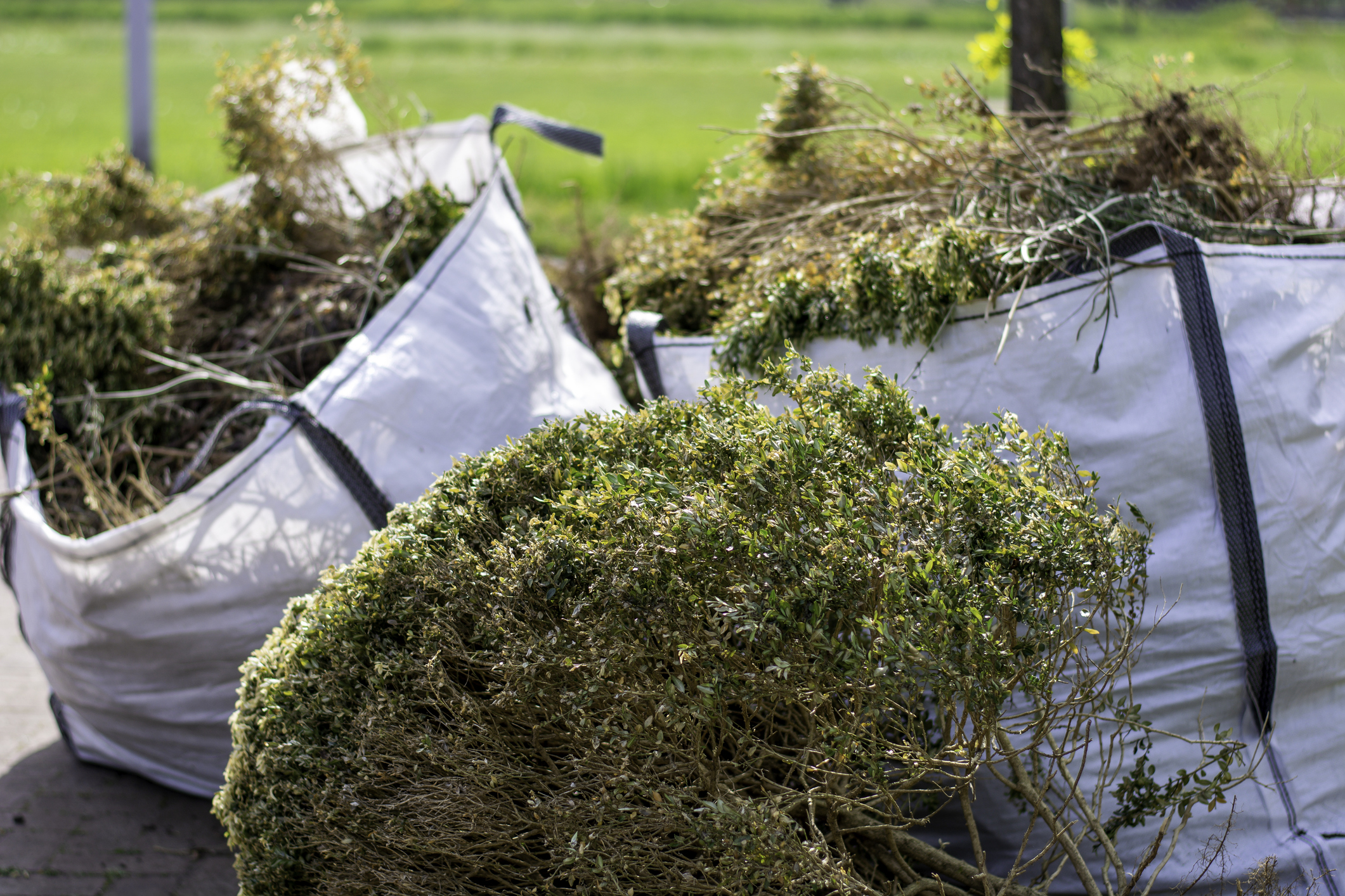 Junk Removal/Hauling 1
